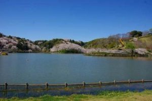 静岡県藤枝市で合鍵・鍵・ディンプルキー作るときにはインターネット注文の【俺の合鍵】