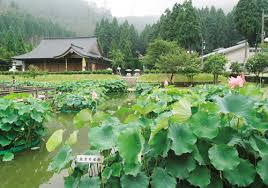 福井県南条郡南越前町で合鍵を作成するにはどうしたらいいか？！俺の合鍵ならネット注文。