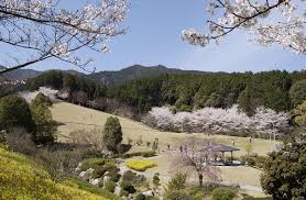 奈良県葛城市や、この周辺で合鍵を失くしたり、合鍵を作りたい場合には俺の合鍵ネット注文がお得で便利です。