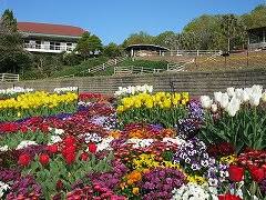 和歌山県岩出市やその周辺の市区町村で合鍵作成したい場合には店舗で作るよりもインターネットで作るのがおすすめです。